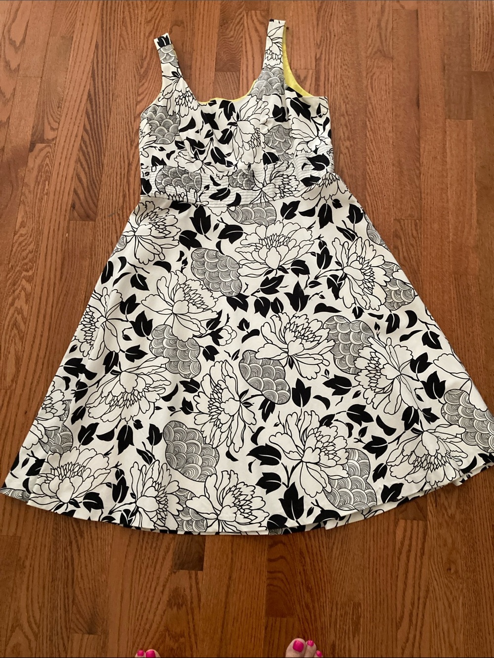 Donna Ricco Black and White Floral Fit-and-Flare Dress